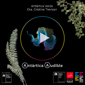 La Antártica Chilena - Un Eco hacia el Futuro | MarcaChile.cl