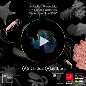 La Antártica Chilena - Un Eco hacia el Futuro | MarcaChile.cl