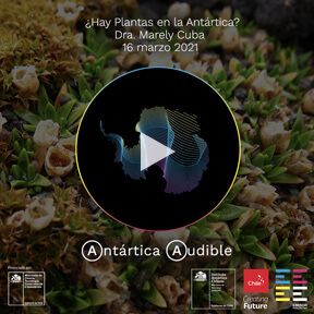 La Antártica Chilena - Un Eco hacia el Futuro | MarcaChile.cl