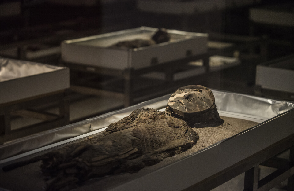 Las momias chinchorro como patrimonio de la humanidad