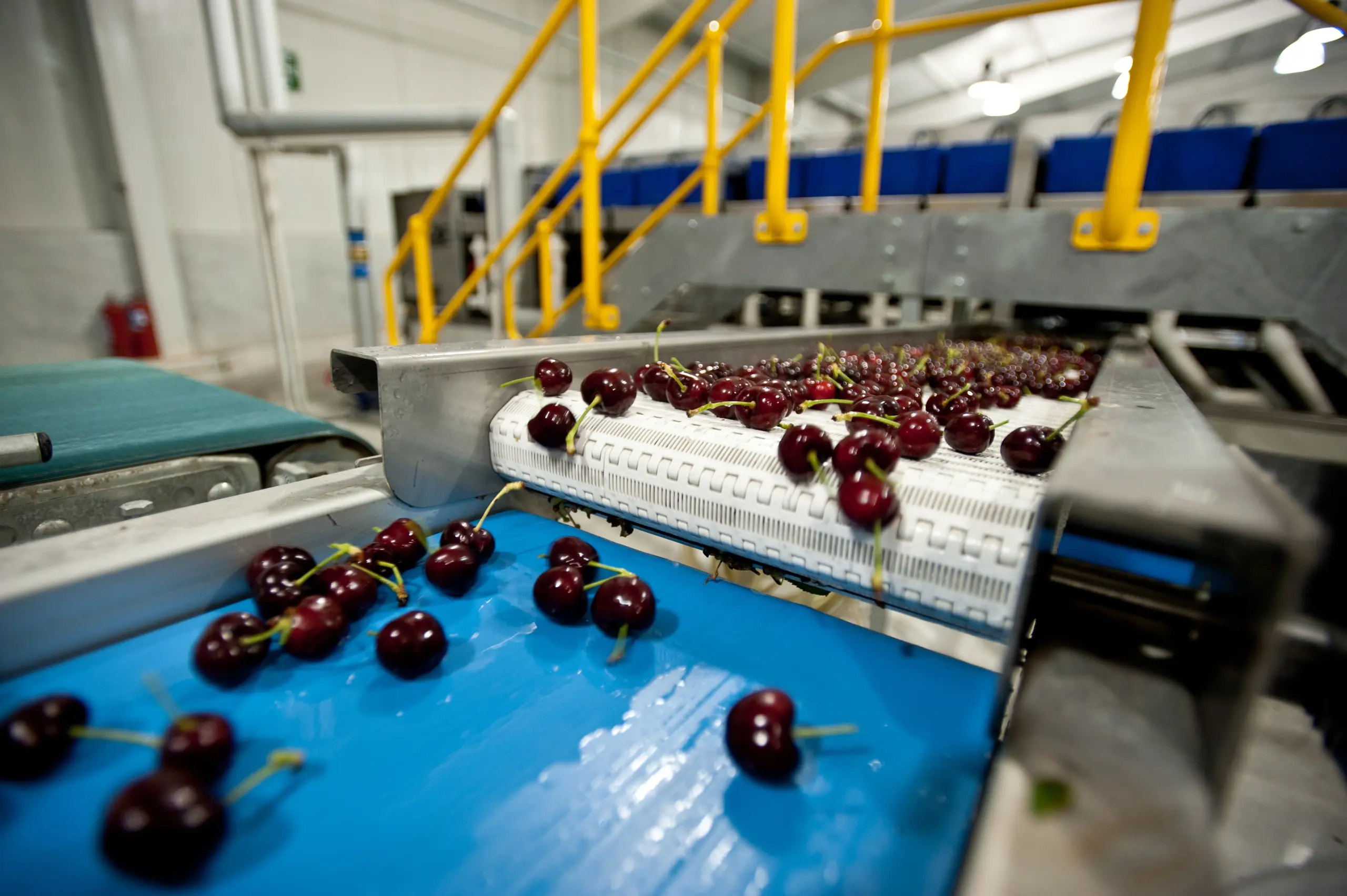 智利《马卡2025: año récord para las exportaciones chilenas